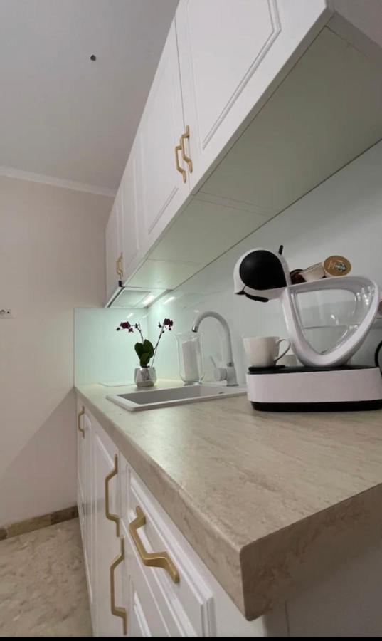 Apartamente Cu Un Dormitor Тімішоара Екстер'єр фото